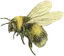Bee decoration