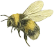 Bee decoration
